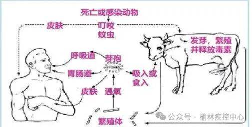 正在上传... image.png