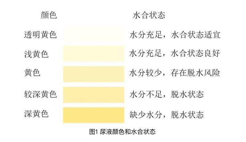 图片来源:中国居民膳食指南2022